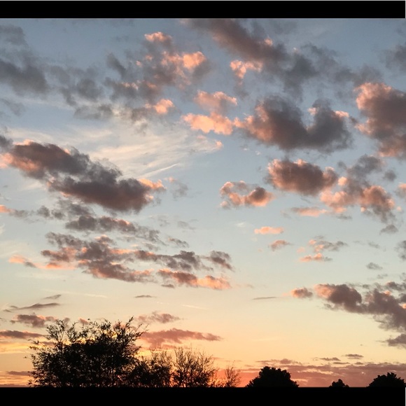 Meet your Posher, Ambren - Picture 4 of 16